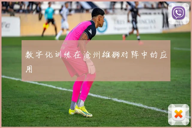 数字化训练在沧州雄狮对阵中的应用