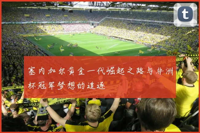 塞内加尔黄金一代崛起之路与非洲杯冠军梦想的追逐