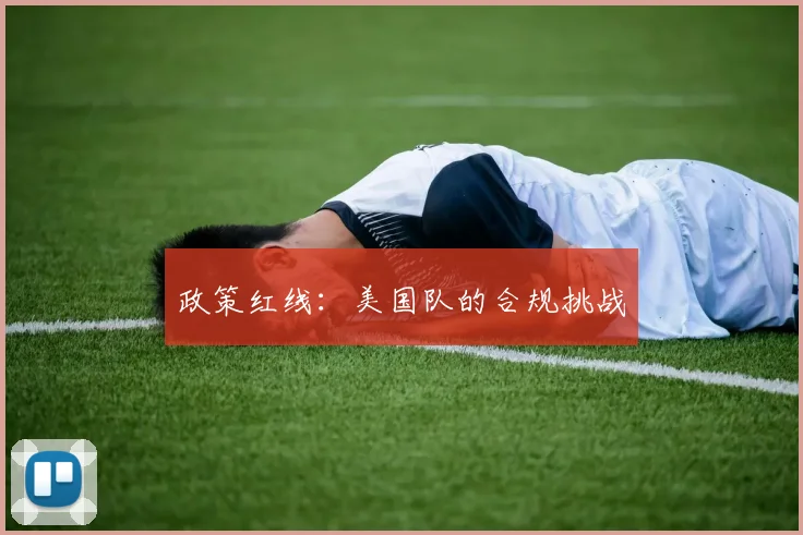 政策红线：美国队的合规挑战