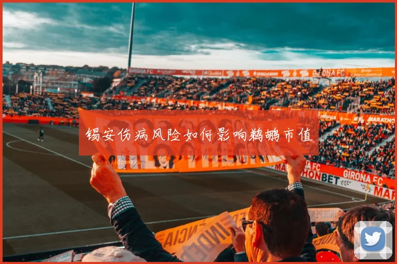 锡安伤病风险如何影响鹈鹕市值